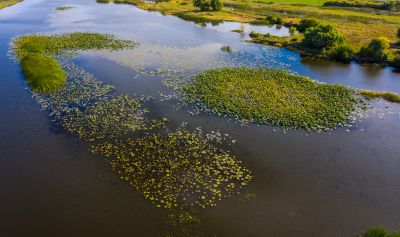 大剧院湿地秋色美