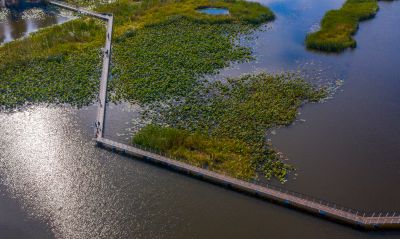 大剧院湿地秋色美