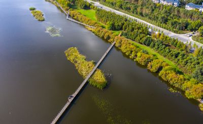 大剧院湿地秋色美