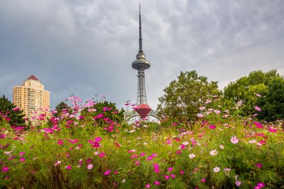 湘江公园秋色