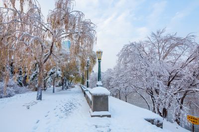 雪覆江畔美如画1