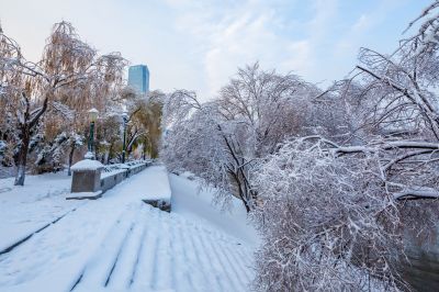 雪覆江畔美如画1