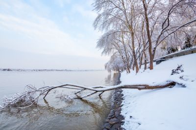 雪覆江畔美如画1