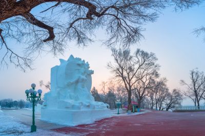 雪博会建设进行时4