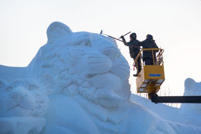 雪博会建设进行时4