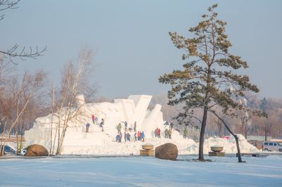 雪博会建设进行时5