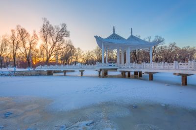 太阳岛冰雪风光1