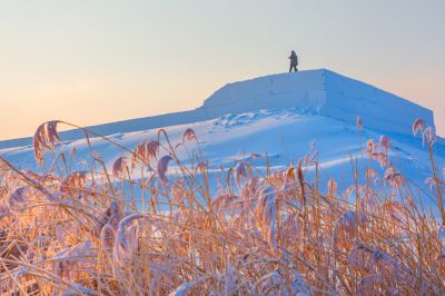 太阳岛冰雪风光2