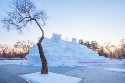 第34届太阳岛雪博会开园2