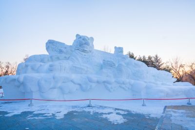 第34届太阳岛雪博会开园2