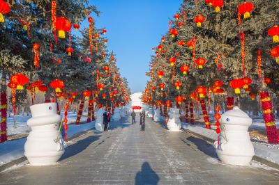 第34届太阳岛雪博会开园3