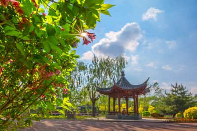 中国亭园的夏日风景