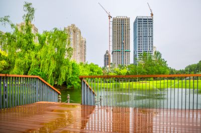 雨后的湘江公园