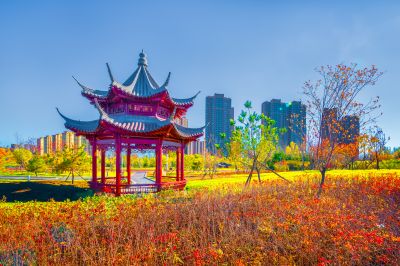 中国亭园的深秋美景2