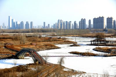 哈尔滨外滩湿地冬景美
