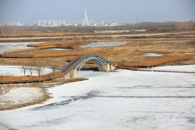 哈尔滨外滩湿地冬景美