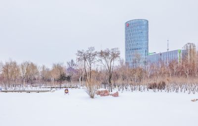丁香公园冬景