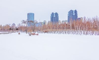 丁香公园冬景