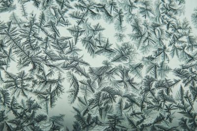 冰窗花 冬季室内外温差大窗户上形成的冰花 拍摄于哈尔滨