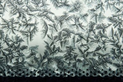 冰窗花 冬季室内外温差大窗户上形成的冰花 拍摄于哈尔滨