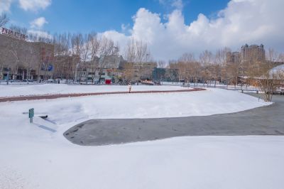 春雪后的湘江公园2