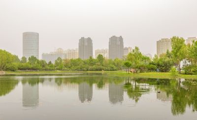 丁香公园