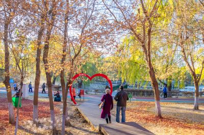 黛秀湖公园的秋日暖阳