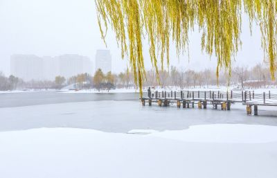 雪中的丁香公园