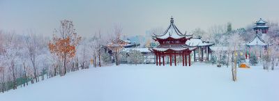 中国亭园雾凇美景2