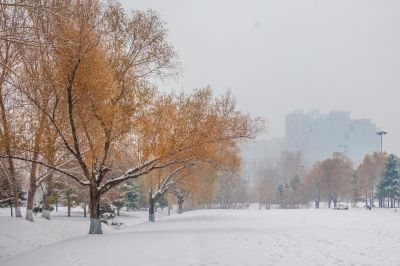 雪中的湘江公园