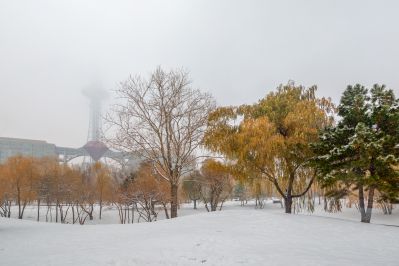 雪中的湘江公园