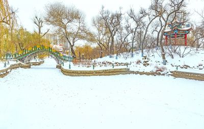 兆麟公园雪