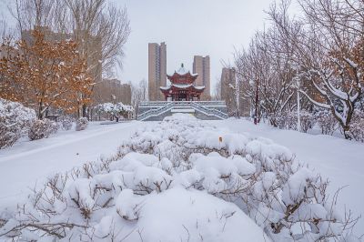 雪后的中国亭园