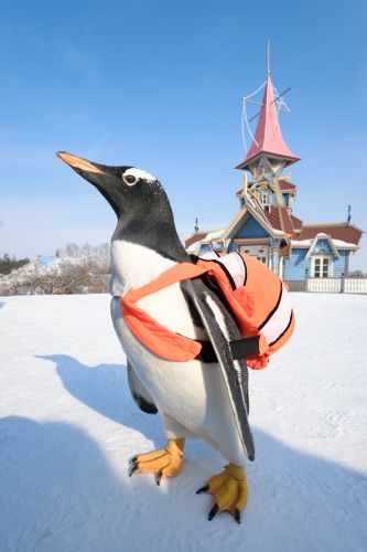 逃学企鹅在伏尔加庄园