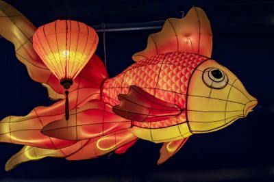 龙江渔村鱼灯