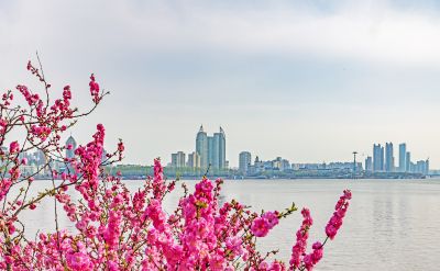 松花江的春天松花江