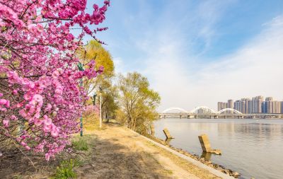 松花江的春天松花江