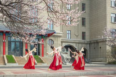 哈工程大学杏花长廊春花竞芬芳