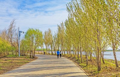 五一假期，金河湾湿地市民度假