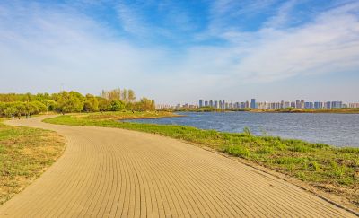 五一假期，金河湾湿地市民度假