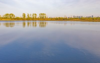  五一假期 金河湾湿地