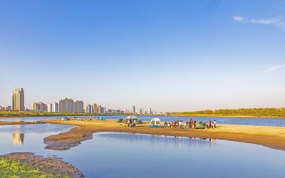  五一假期 金河湾湿地