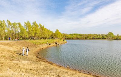 五一假期 金河湾湿地