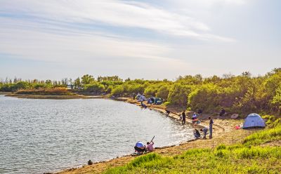 五一假期 金河湾湿地