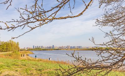 五一假期 金河湾湿地