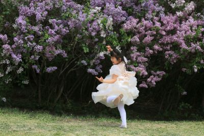 丁香花美人陶醉