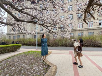 哈尔滨工程大学山杏花开市民拍照