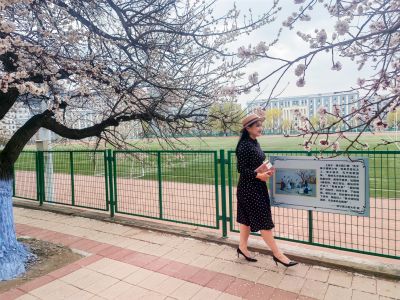 哈尔滨工程大学山杏花开市民拍照