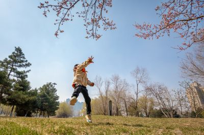 湘江公园山杏盛开春意浓