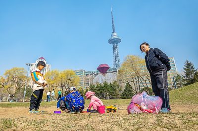 湘江公园山杏盛开春意浓